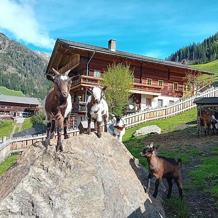 Ferienhaus Egger Иннерфильгратен Экстерьер фото