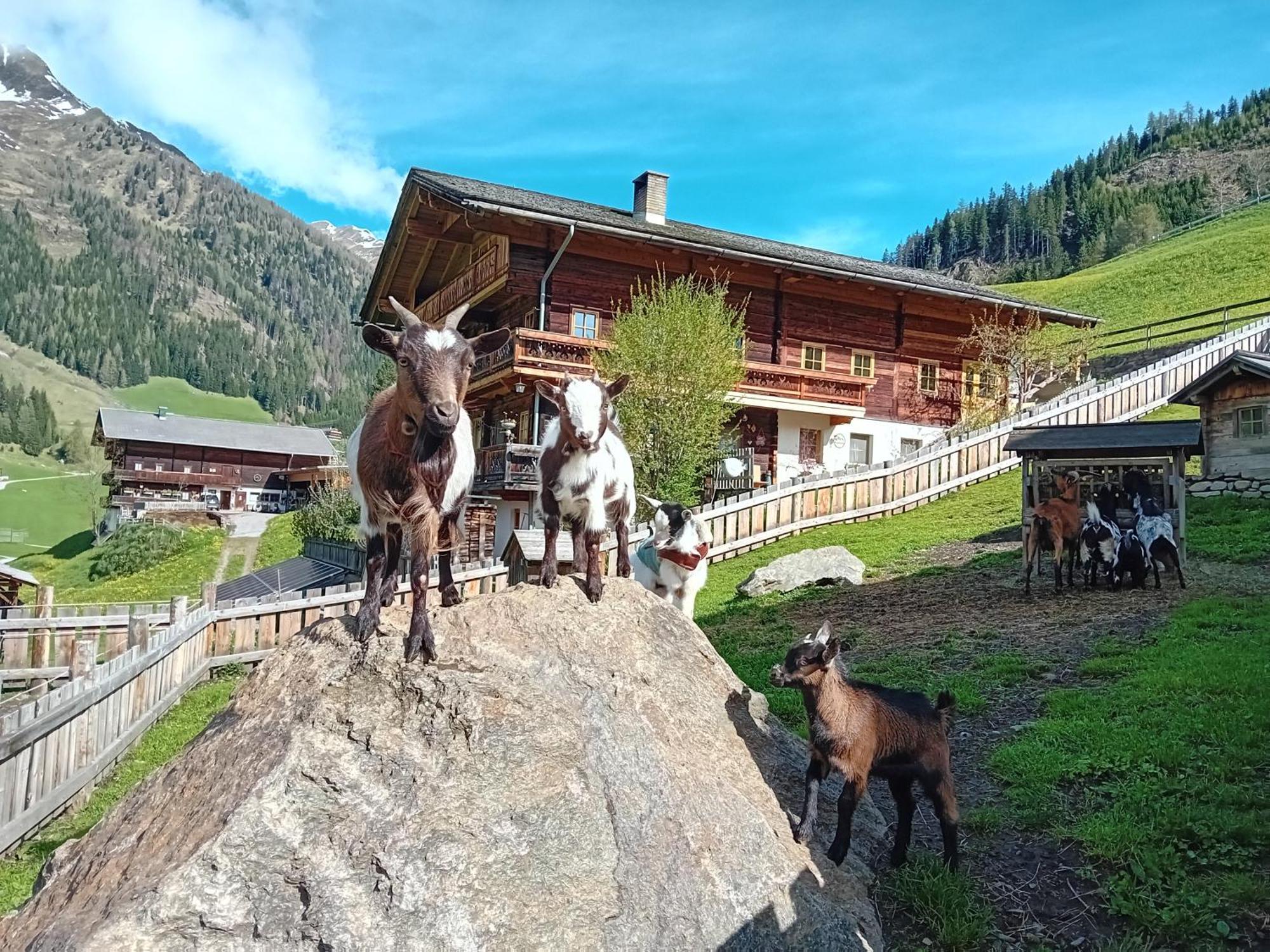 Ferienhaus Egger Иннерфильгратен Экстерьер фото